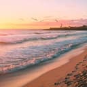 Gentle waves on beach with seagulls calling and palm leaves rustling in the breeze